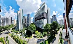 The Cairnhill (D9), Condominium #554912991